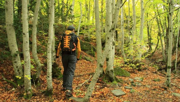 Senderista recorre el hayedo de tejera negra en otoño